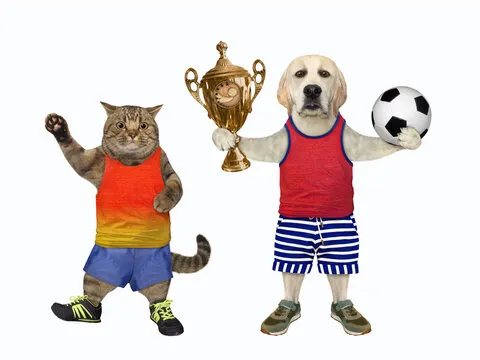 Team Logo